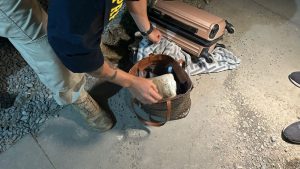 Imagem: Serginho Lapada