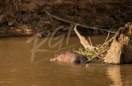 Imagem: RGTNews